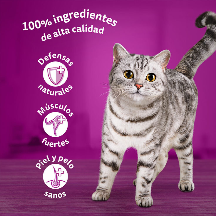 COMIDA HÚMEDA GATO CARNE POUCH CORE WHISKAS P4 85G/U