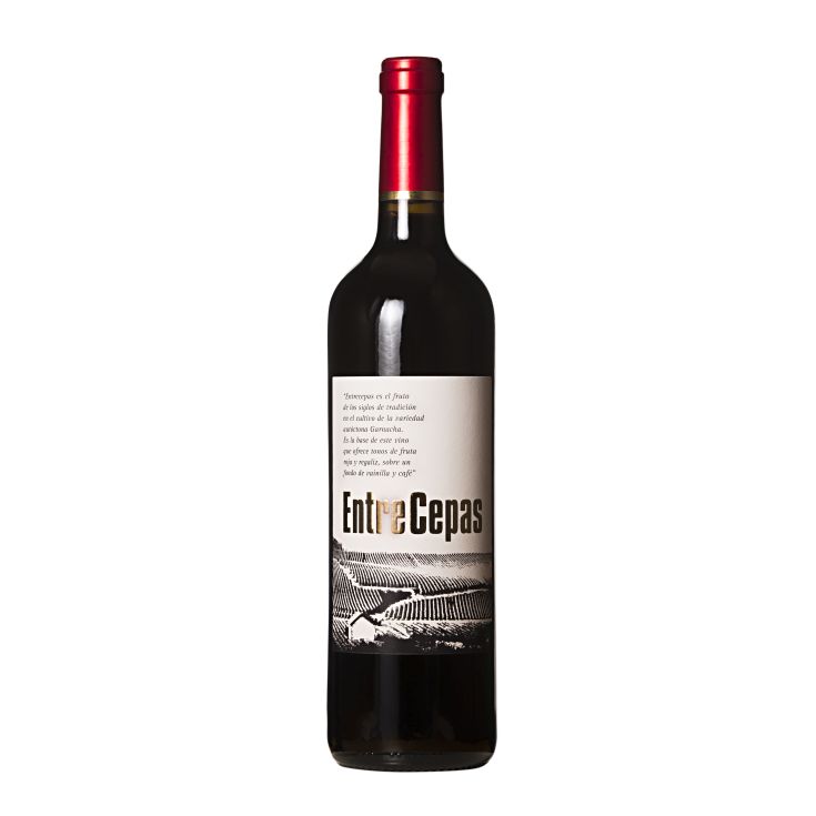 VINO TINTO TIERRA CASTILLA ENTRECEPAS 750ML