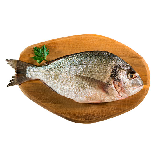 DORADA 800/1 KG