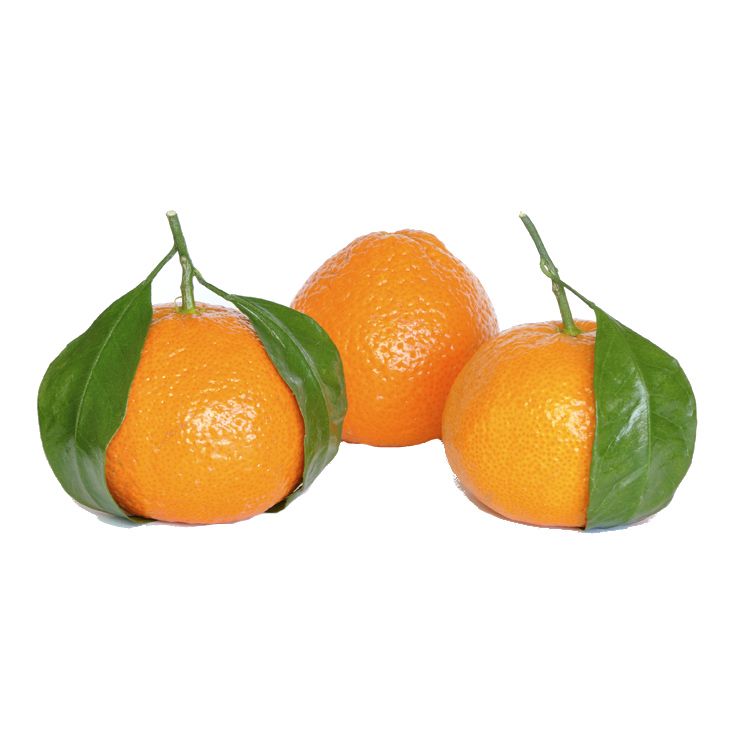 MANDARINA