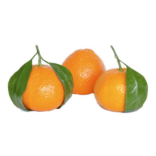 MANDARINA