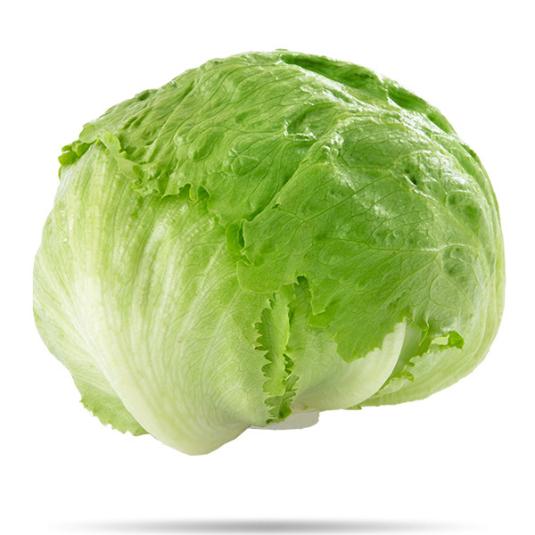 LECHUGA ICEBERG