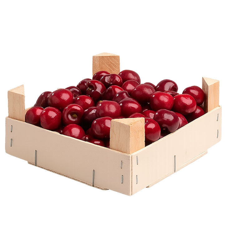 PICOTA CAJA 1KG