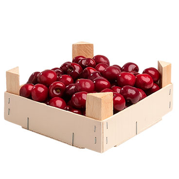 PICOTA CAJA 1KG
