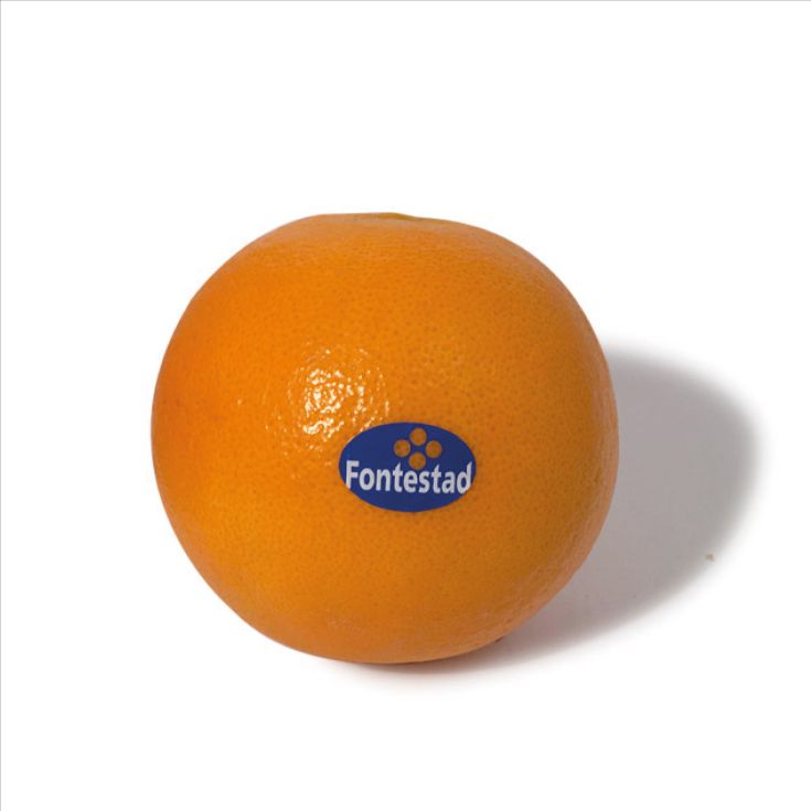 NARANJA DE MESA FONTESTAD