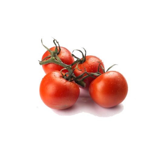 TOMATE RAMA