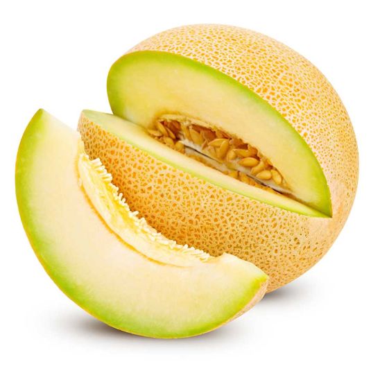 MELÓN GALIA