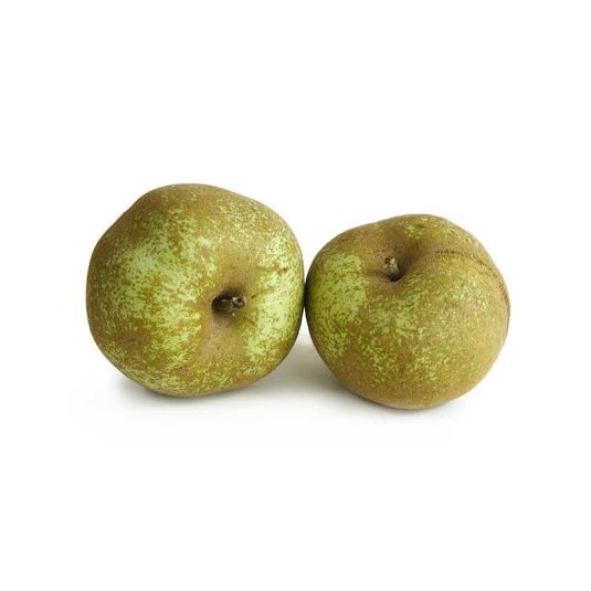 MANZANA REINETA