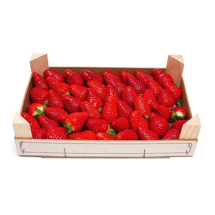 FRESÓN CAJA 1KG